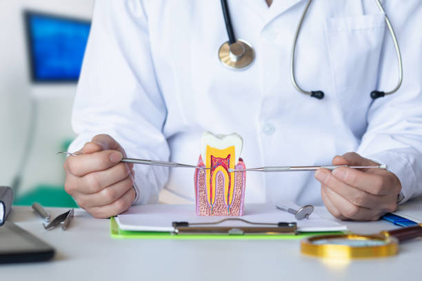 Best Broken or Chipped Tooth Repair in Woodlake, CA